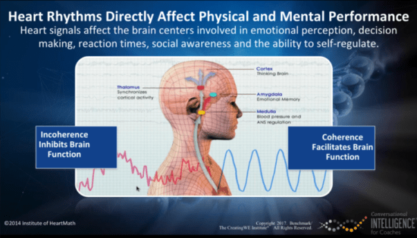 Heart Brain illustration