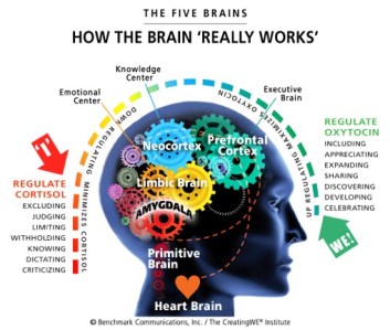 HOW-THE-5-BRAINS-WORK